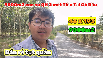 9000m2 2 mặt tiền đường, gần chợ, trường học, gò dầu, có cao su giá rẻ tụt quần.