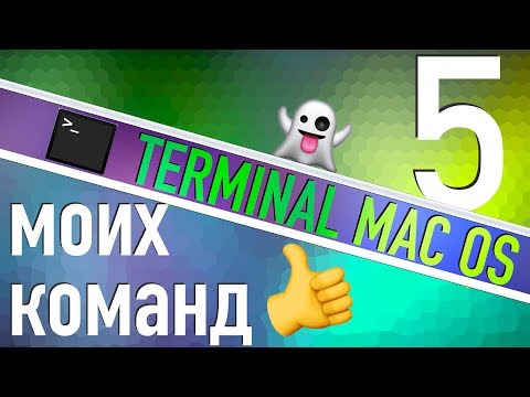 🖥Terminal Mac👌Мои любимые команды!