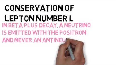 Conservation Of Lepton Number