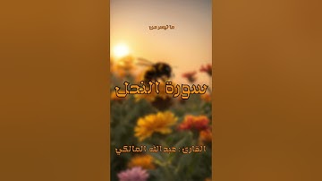 قراءة بديعة | ما تيسر من سورة النحل | القارئ : عبدالله المالكي