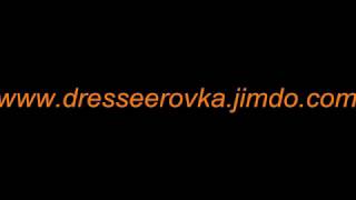 дрессировка вельш-корги