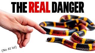 NEVER Kill a Coral Snake - Here's Why (NO AI)