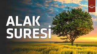 Alak Suresi | "Şüphesiz dönüş rabbinedir."  - Abdussamed Abdulbasit