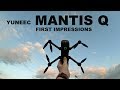 Yuneec Mantis Q Drone - Is It Any Good?  My First Impressions