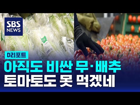 아직도 비싼 무·배추…토마토도 못 먹겠네 / SBS / #<strong>D리포트</strong>