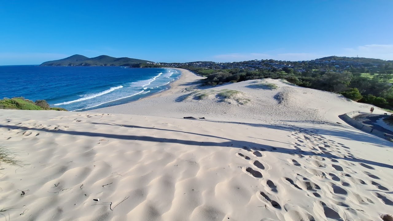 Forster, NSW - One Mile Sand Dune, Green cathedral, Pelicans 