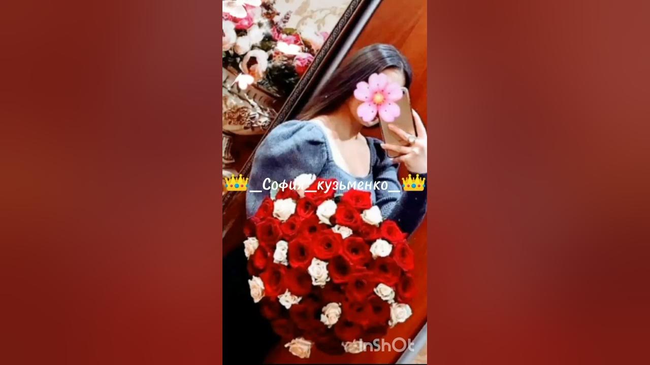 Ищу цыган. Ищу цыган