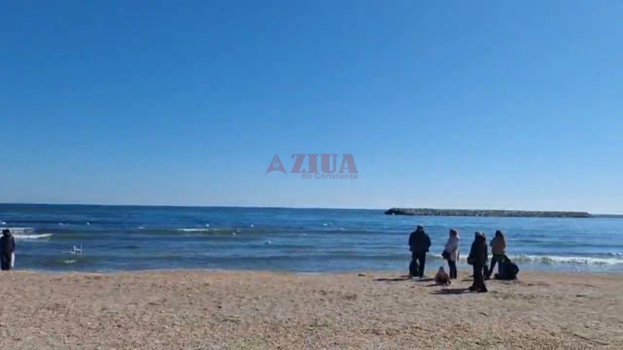 Soare de martie și lebede pe plaja din Eforie Sud, județul Constanța