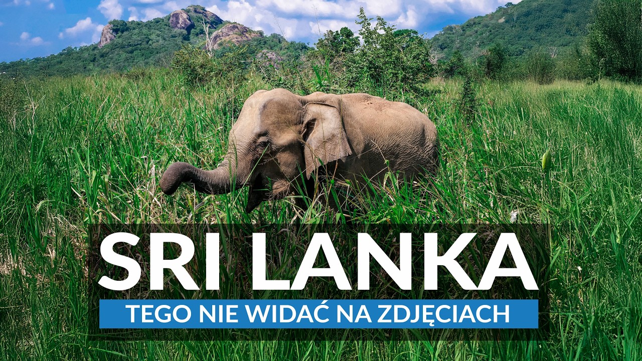 SRI LANKA na własną rękę | Informacje praktyczne i plan zwiedzania: plaże, zabytki i słonie 🐘