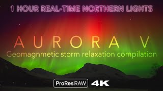 AURORA V - 1 HOUR REAL-TIME 4K NORTHERN LIGHTS - Relaxation compilation / Tromsø, Arctic Norway
