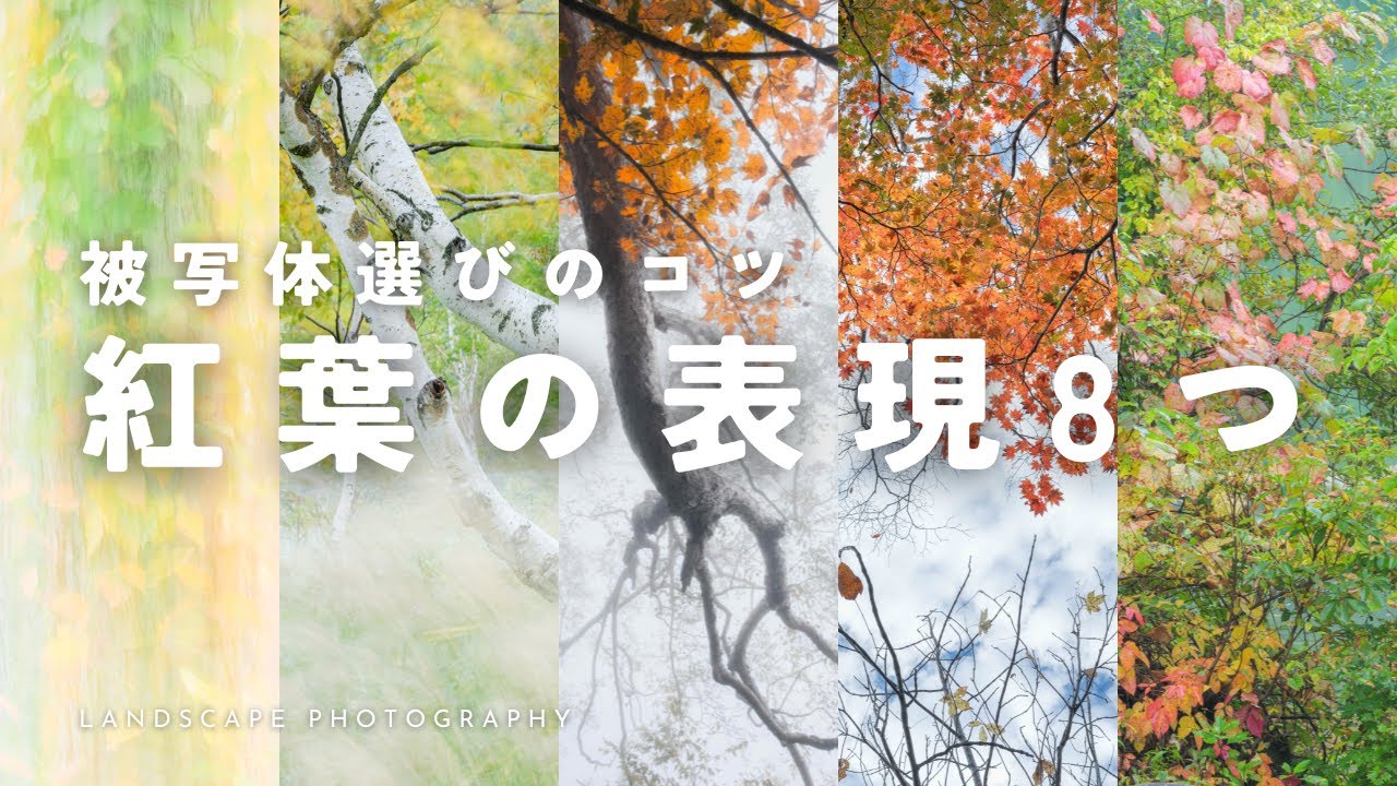 【自然写真】紅葉の表現アイディア8つ・被写体選びのコツ