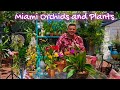 Mega Orchid Haul, from 2 outstanding Orchid Shows 👏