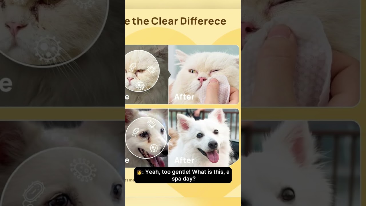 Tear Stains Gone! 🐶🐱 Gentle Eye Wipes for Pets✨