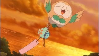 Not So Fast, Rowlet