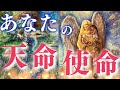 【決めていること😳❣️】あなたの天命・使命🌈認識する時が来ました‼️深掘り個人鑑定級/タロット&オラクルカードリーディング