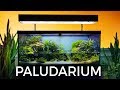 Guided tour of this stunning paludarium