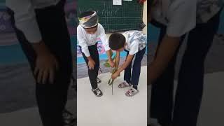 "Mehrjon bayrami" dan video lavha