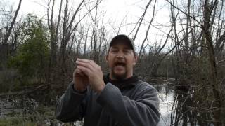 B 14 Blue and Snow Goose Call