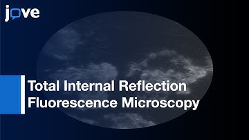 Nanotopology: Cell Adhesion Upon Variable-Angle TIRFM l Protocol Preview