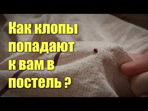 Video: Карпинг деген сөзбү?