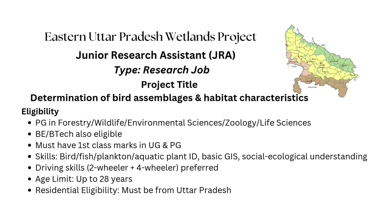 Don’t Miss These 2025 Wildlife & Research Internships!