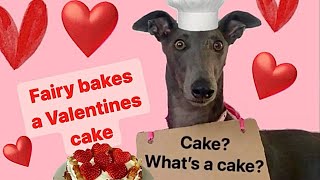 GREYHOUND bakes her first doggy cake. But will fussy Fairy eat it?