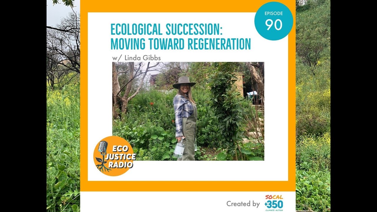 Ecological Succession: Moving Toward Regeneration with Linda Gibbs - EcoJustice Radio