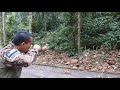 Pendekar rimbalastik jungle survival