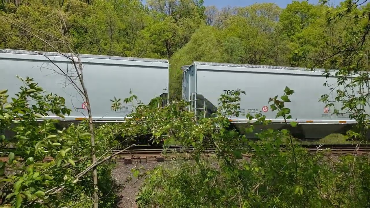 Brand new TGSX covered hoppers headed west from National Steel Car