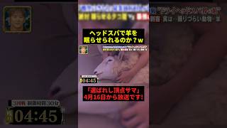 ヘッドスパで羊を眠らせられるのか?w#すごい #お笑い #shorts