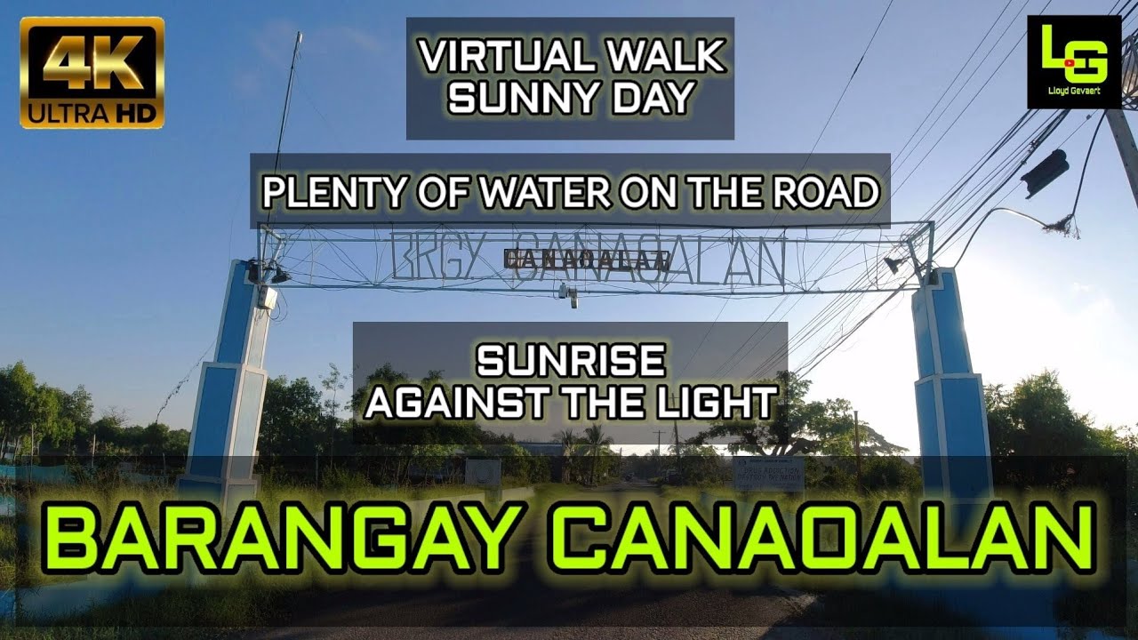 VIRTUAL WALK | BRGY. CANAOALAN | BINMALEY, PANGASINAN PHILIPPINES