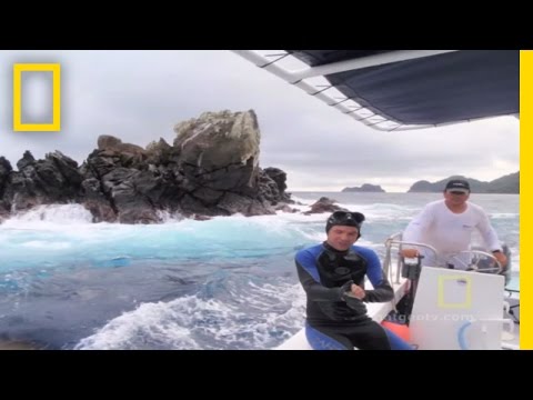 Dive at Dirty Rock | National Geographic