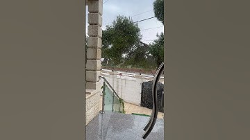 تلاوة جميلة و هادئة مع المطر ❤️🌧 #اكسبلور #explore انستقرام : ahm.i.fa