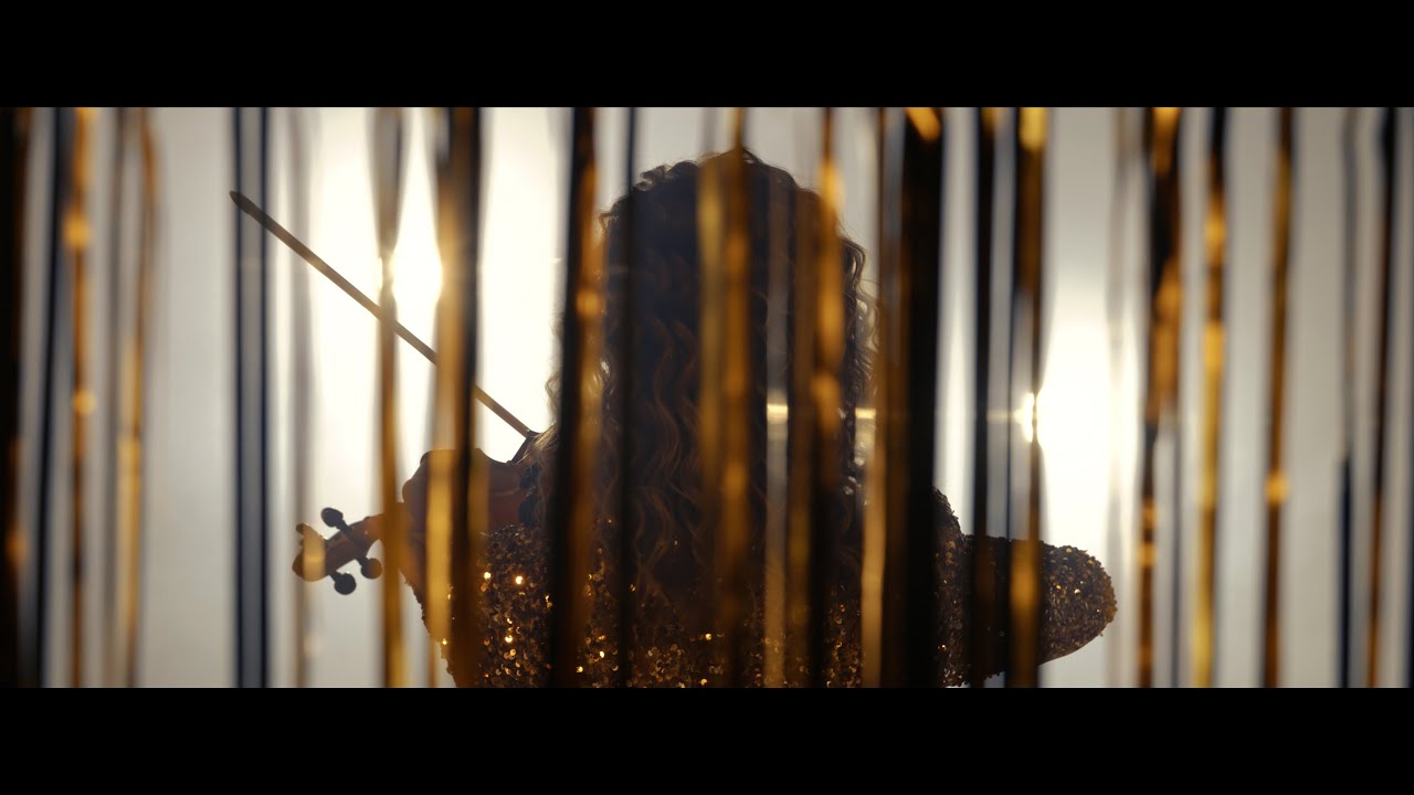 Whitney Houston - I Have Nothing (Violin Cover)