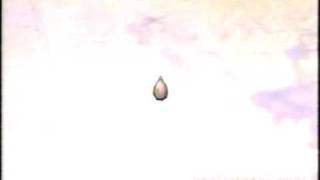 Rocket Animation 2 2008 05 07 07 10 26