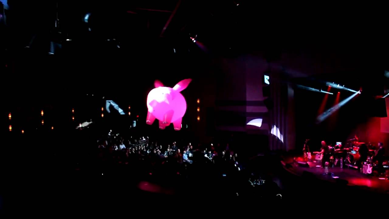 The Pink Floyd Experience s Flying Pig In The Casino Regina Show Lounge the-pink-floyd-experience-s-flying-pig-in-the-casino-regina-show-lounge