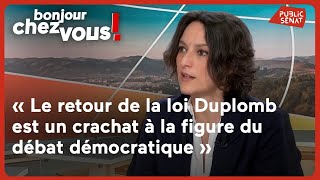 Mélanie Vogel : « Le retour de la loi Duplomb est un crachat à la figure du débat démocratique »