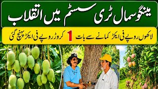 Mango Small Tree System,,, Exploring the Truth Behind PKR 10 Million per Acre
