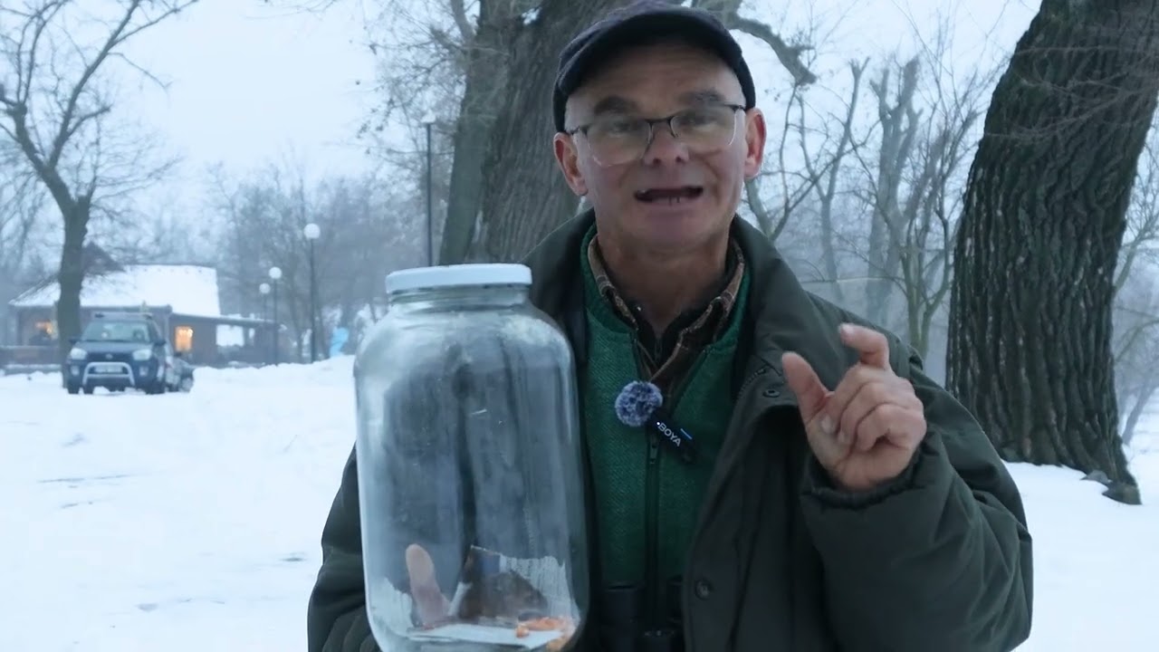 🐭 Egér vagy pocok?