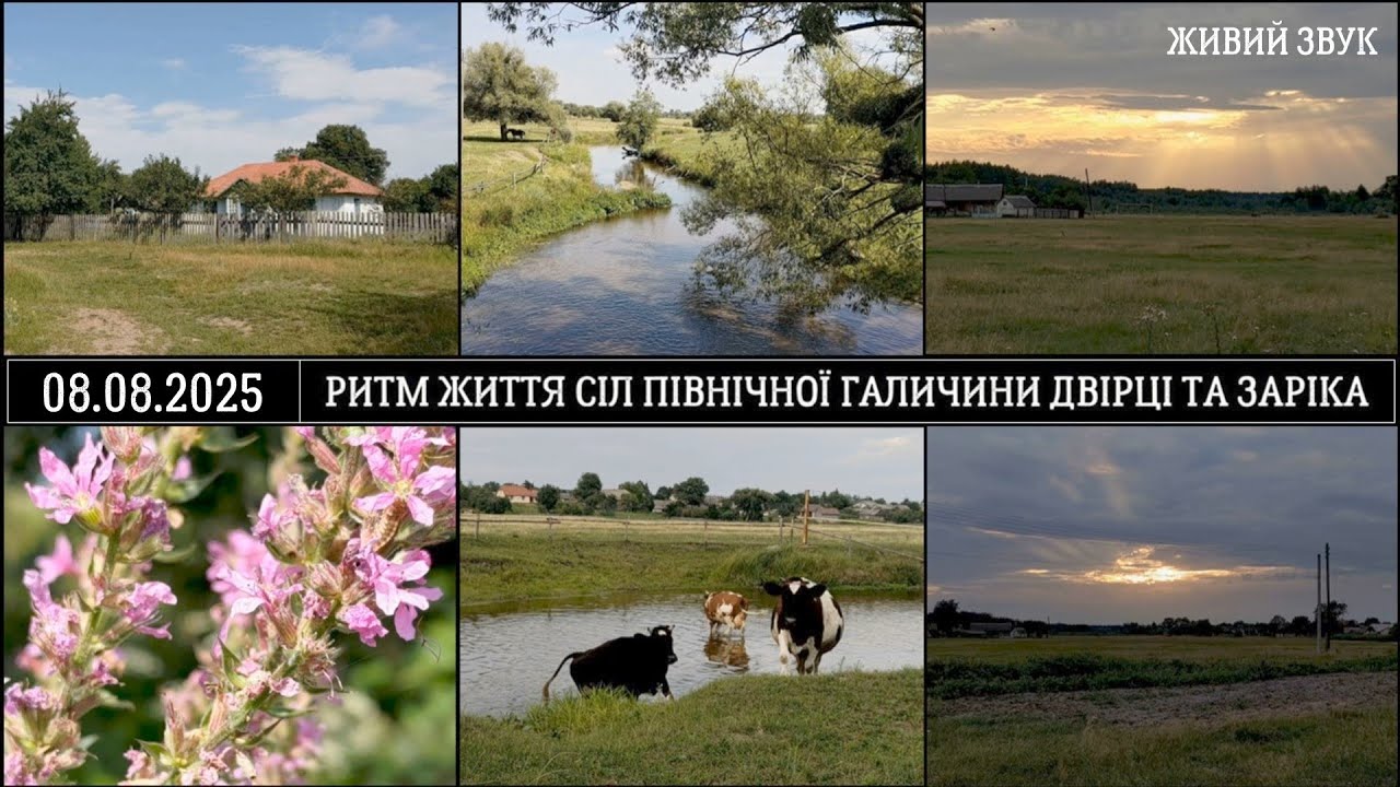 Ритм життя сіл Північної Галичини Двірці та Заріка, Шептицький район, Львівська область, Україна