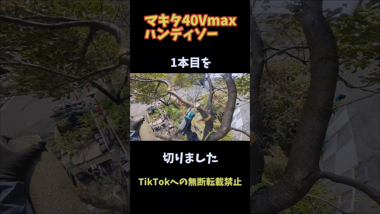 【吊るし切り】マキタ　ハンディソーとアラカンオヤジ。