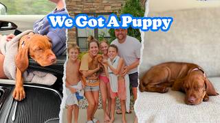 Full WE GOT A PUPPY! 🐶 Bringing Home Our New Puppy | Puppy Vlog & First Day News