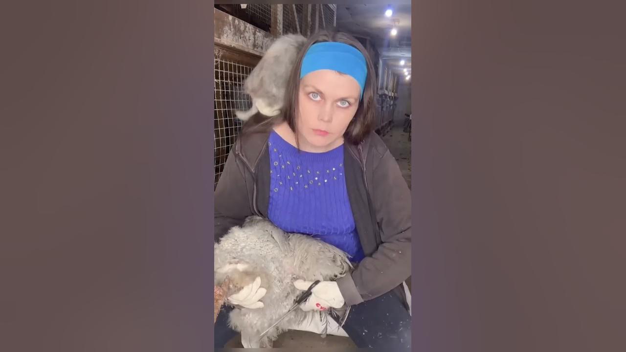 Дарьин двор. Дарьин двор