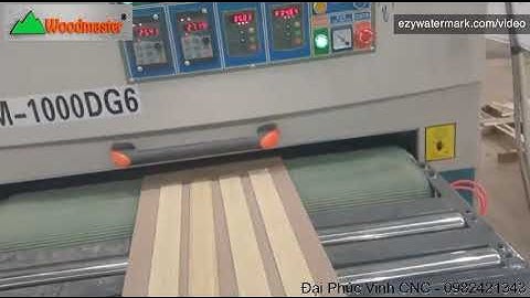 Woodmaster / máy cào cước tạo sớ gỗ giả cổ WM-1000DG6 / WM-1300DG6