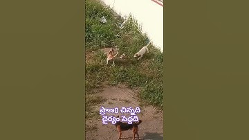 Thumbnail of a kannu chudadanaa short//karma saramsham #song #music