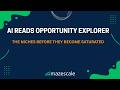 AI Reads Product Opportunity Explorer and Tells You Which Niches to Chase