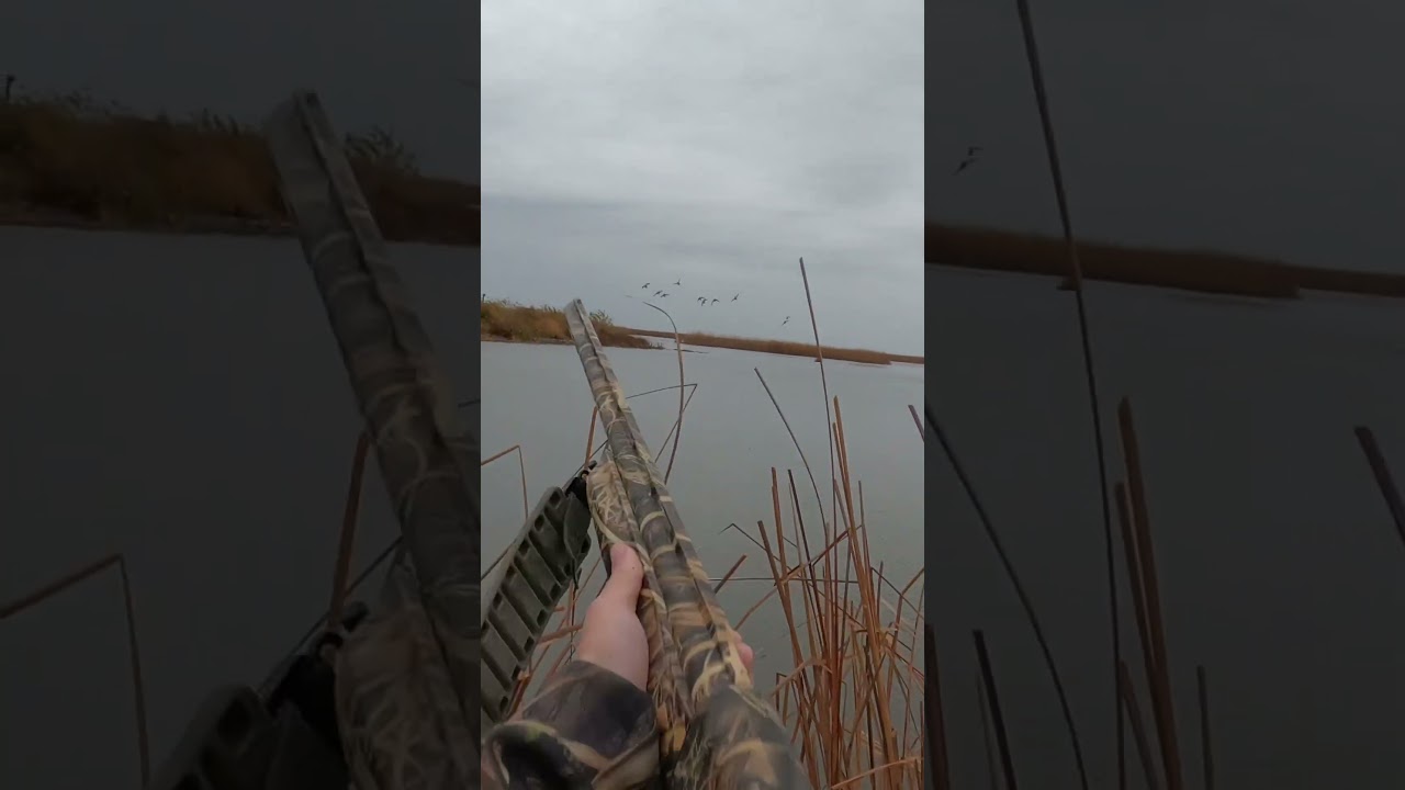 Saginaw bay duck hunting 