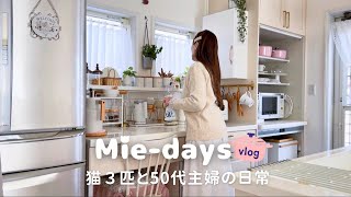 Download Lagu A Calm Day with 3 Cats｜Meals \u0026 Desk Reset MP3