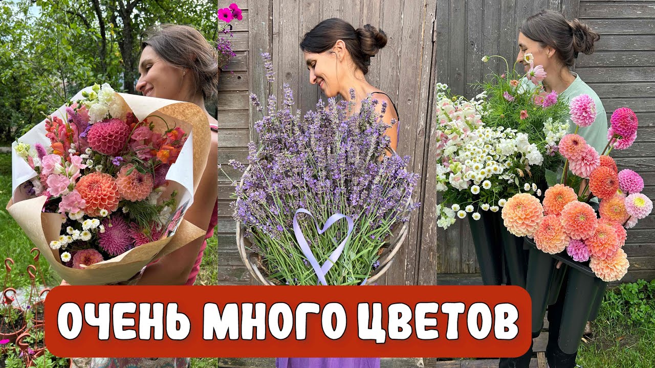 СРЕЗКА НАЧАЛАСЬ! ЦВЕТОЧНЫЙ ФЕРМЕР #милыйсад