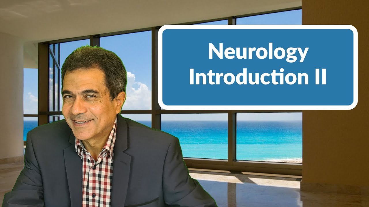 Neurology - Introduction Part II